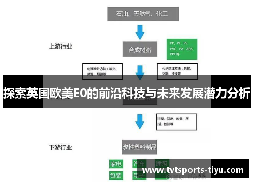 探索英国欧美E0的前沿科技与未来发展潜力分析