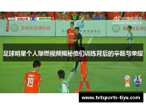 足球明星个人爆燃视频揭秘他们训练背后的辛酸与荣耀